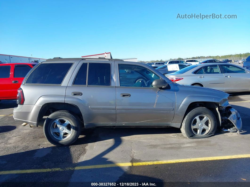 2006 Chevrolet Trailblazer Ls Серый vin: 1GNDS13S862254512