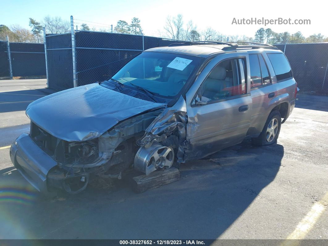 2006 Chevrolet Trailblazer Ls Gray vin: 1GNDS13S862254512