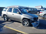 2006 Chevrolet Trailblazer Ls Gray vin: 1GNDS13S862254512