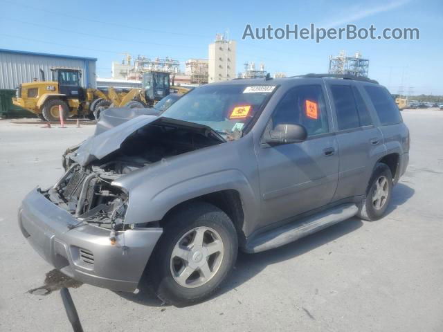 2006 Chevrolet Trailblazer Ls Серый vin: 1GNDS13S862263632