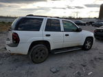 2006 Chevrolet Trailblazer Ls White vin: 1GNDS13S862298512