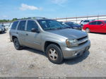 2002 Chevrolet Trailblazer Lt Tan vin: 1GNDS13S922187848