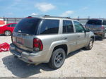 2002 Chevrolet Trailblazer Lt Tan vin: 1GNDS13S922187848