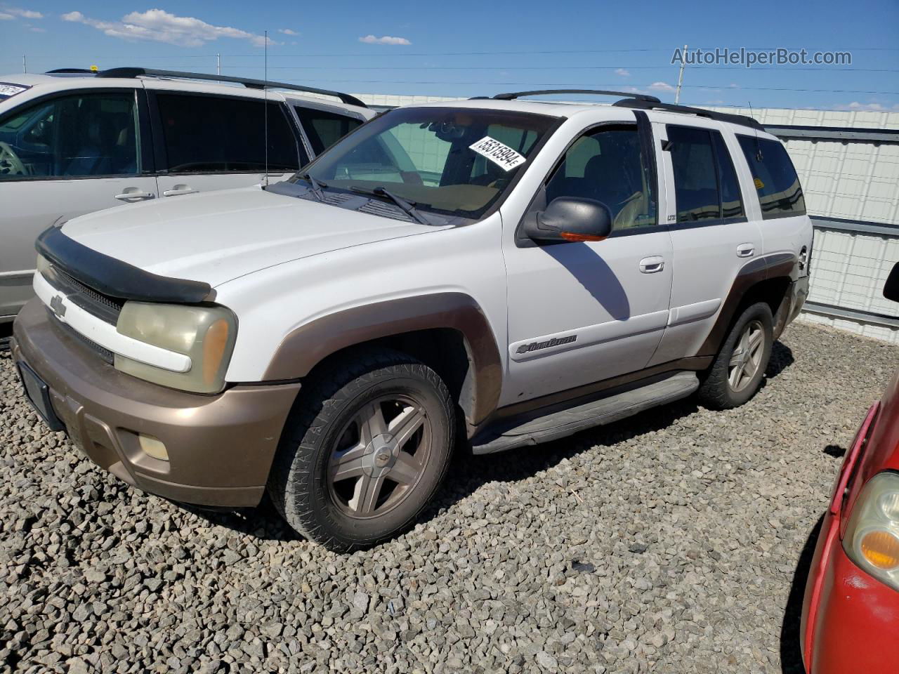 2002 Chevrolet Trailblazer  White vin: 1GNDS13S922221917