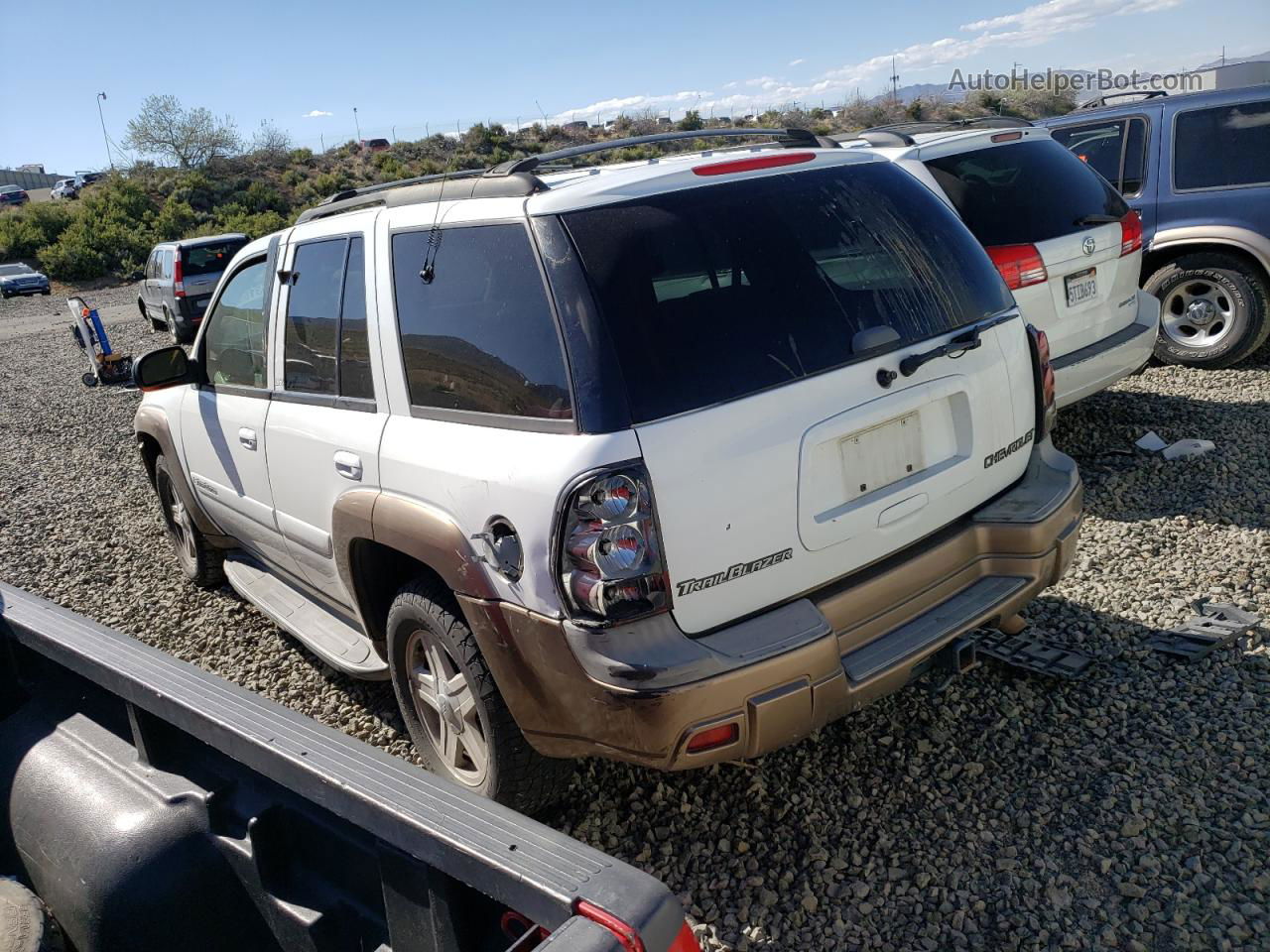 2002 Chevrolet Trailblazer  White vin: 1GNDS13S922221917