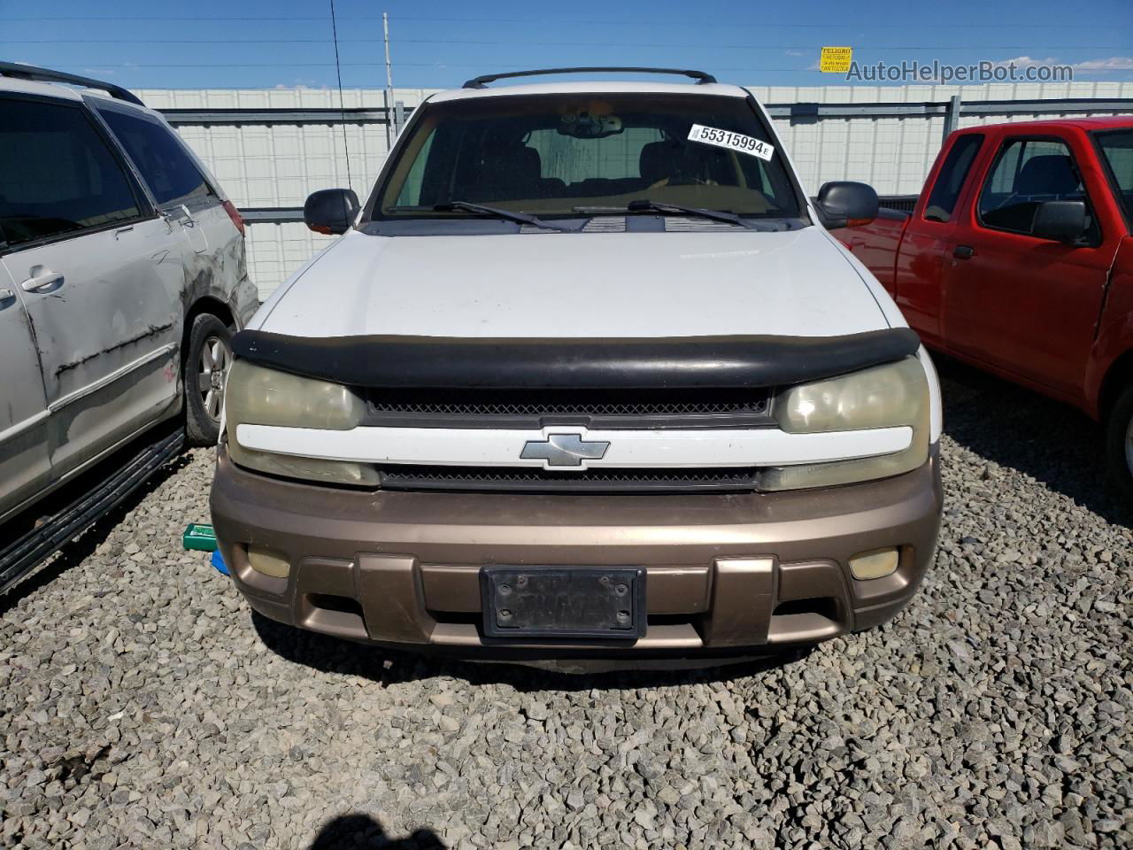 2002 Chevrolet Trailblazer  White vin: 1GNDS13S922221917