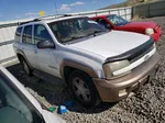 2002 Chevrolet Trailblazer  White vin: 1GNDS13S922221917