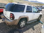 2002 Chevrolet Trailblazer  White vin: 1GNDS13S922221917