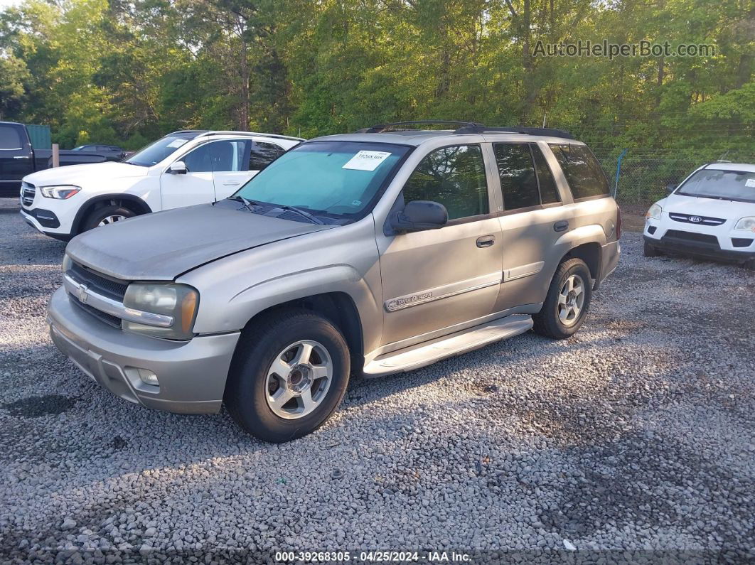 2002 Chevrolet Trailblazer Lt Gray vin: 1GNDS13S922329406