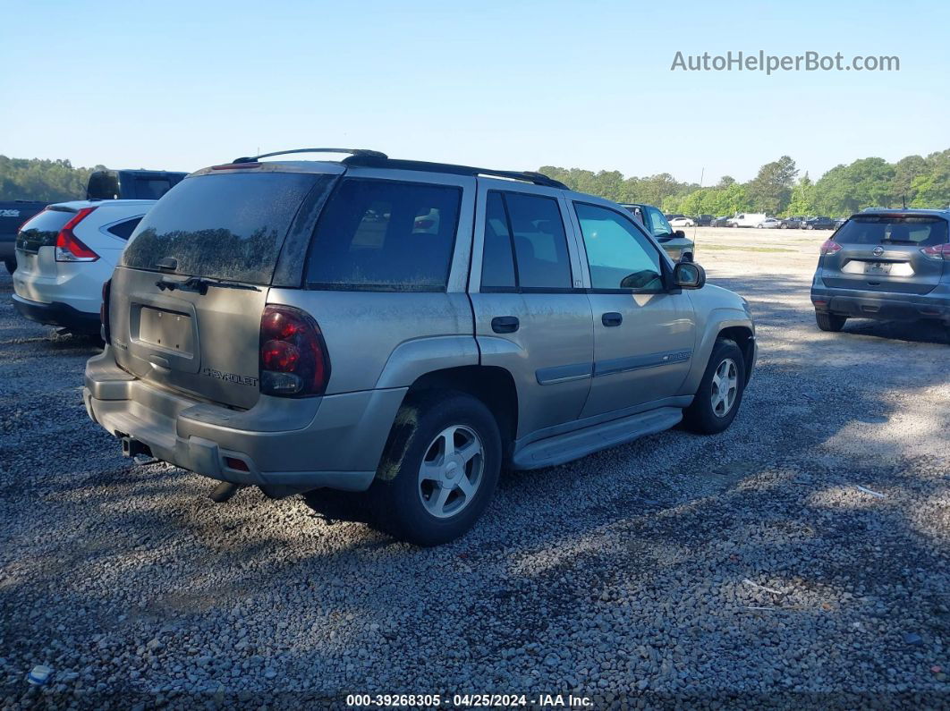 2002 Chevrolet Trailblazer Lt Gray vin: 1GNDS13S922329406