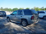 2002 Chevrolet Trailblazer Lt Gray vin: 1GNDS13S922329406