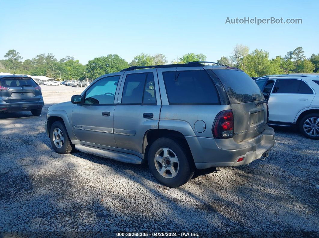 2002 Chevrolet Trailblazer Lt Gray vin: 1GNDS13S922329406