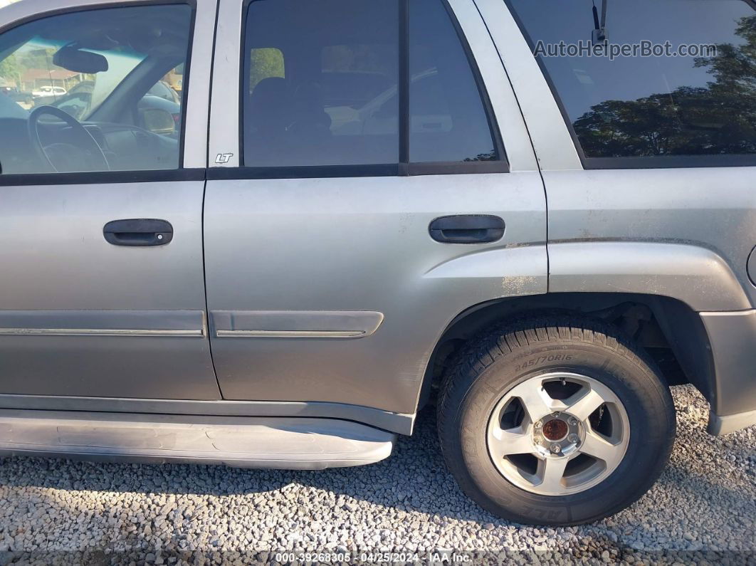 2002 Chevrolet Trailblazer Lt Gray vin: 1GNDS13S922329406