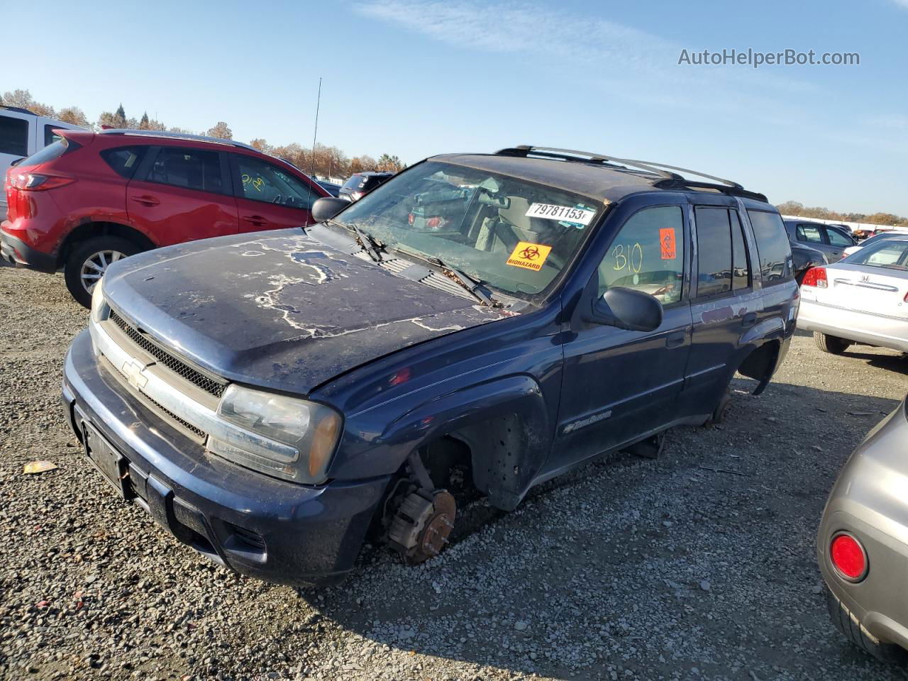 2002 Chevrolet Trailblazer  Blue vin: 1GNDS13S922523644