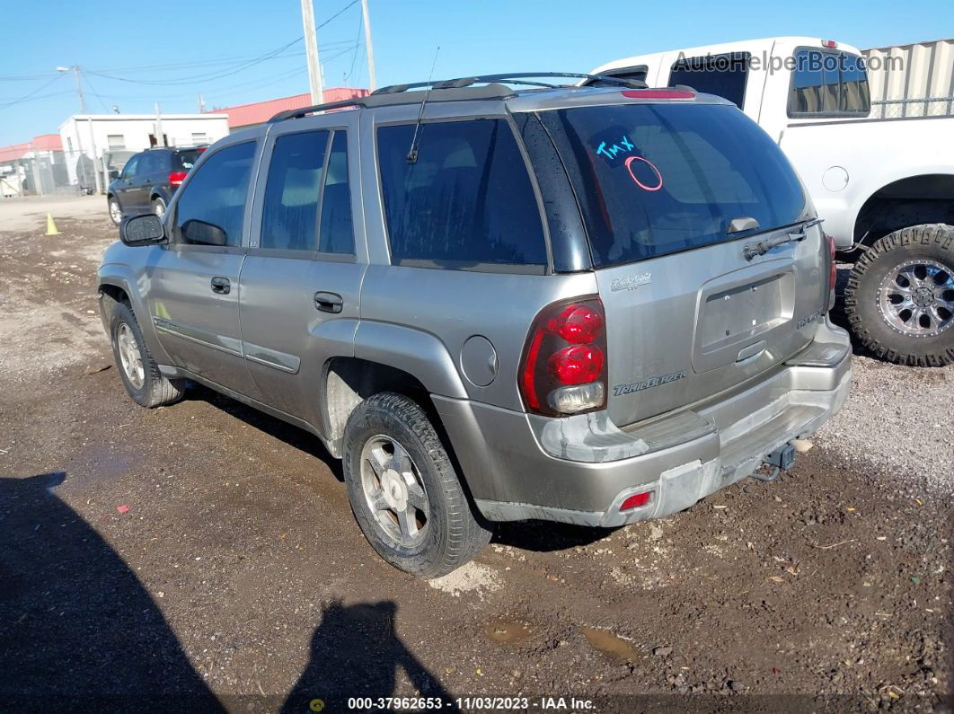 2002 Chevrolet Trailblazer Lt Gold vin: 1GNDS13SX22113001