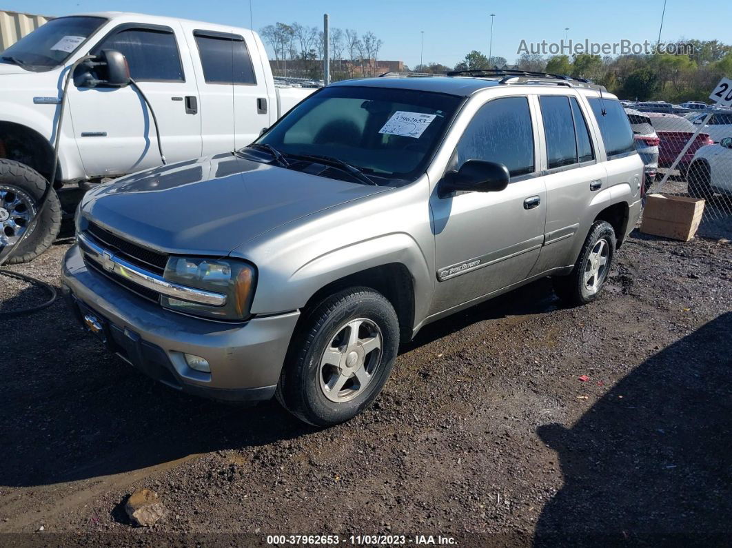 2002 Chevrolet Trailblazer Lt Золотой vin: 1GNDS13SX22113001