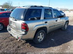 2002 Chevrolet Trailblazer Lt Gold vin: 1GNDS13SX22113001