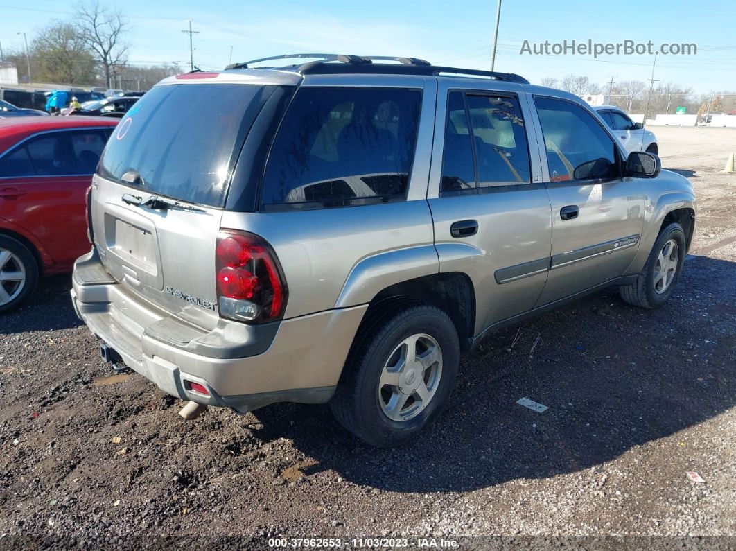 2002 Chevrolet Trailblazer Lt Золотой vin: 1GNDS13SX22113001