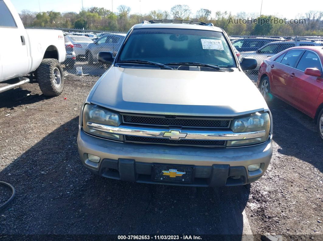 2002 Chevrolet Trailblazer Lt Золотой vin: 1GNDS13SX22113001