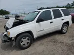 2002 Chevrolet Trailblazer  White vin: 1GNDS13SX22444659