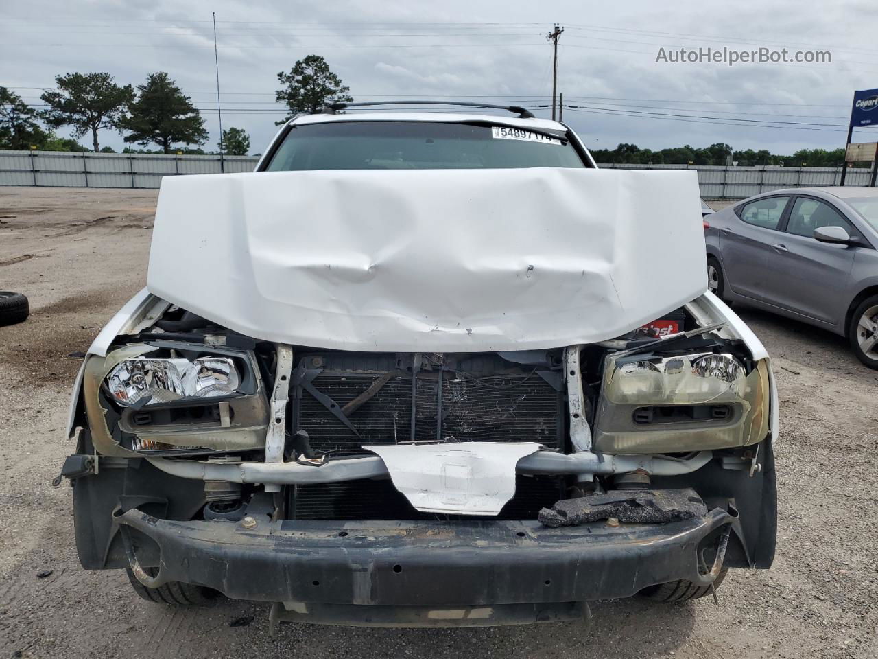 2002 Chevrolet Trailblazer  White vin: 1GNDS13SX22444659