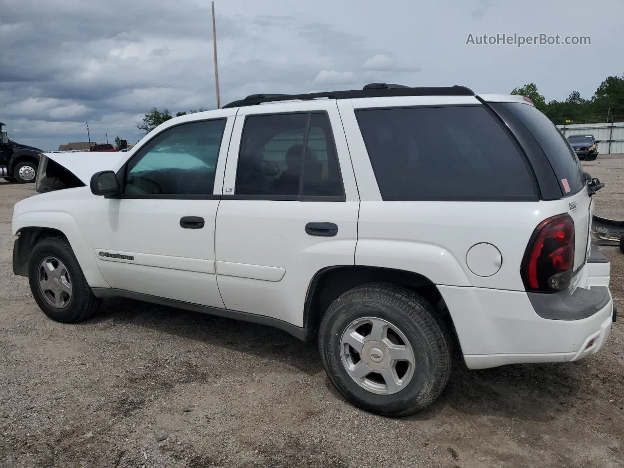 2002 Chevrolet Trailblazer  White vin: 1GNDS13SX22444659