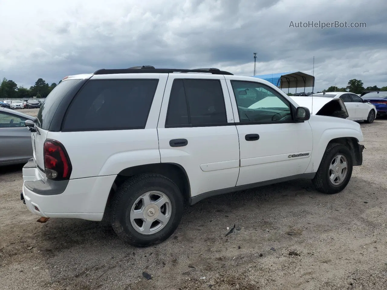 2002 Chevrolet Trailblazer  White vin: 1GNDS13SX22444659