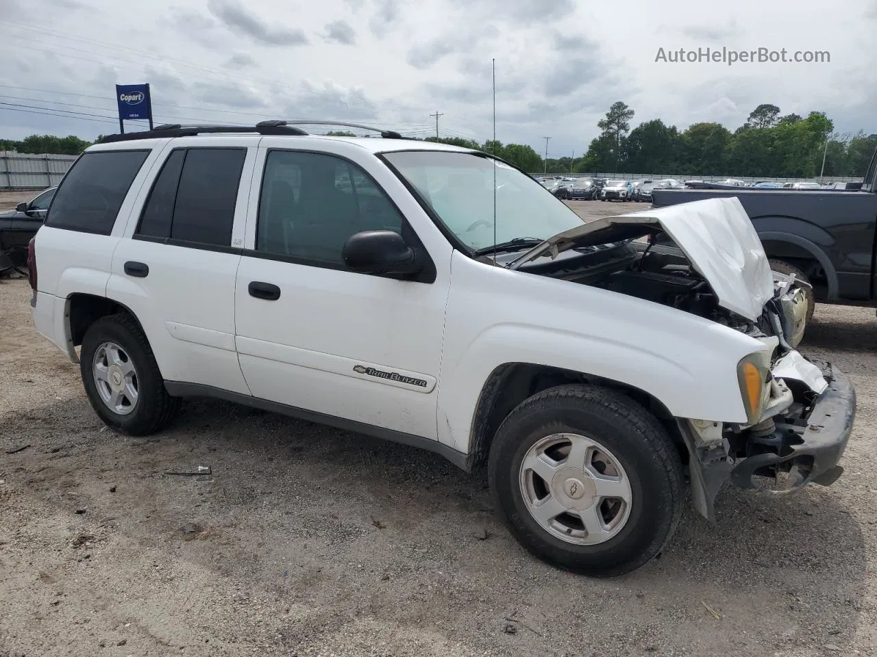 2002 Chevrolet Trailblazer  White vin: 1GNDS13SX22444659