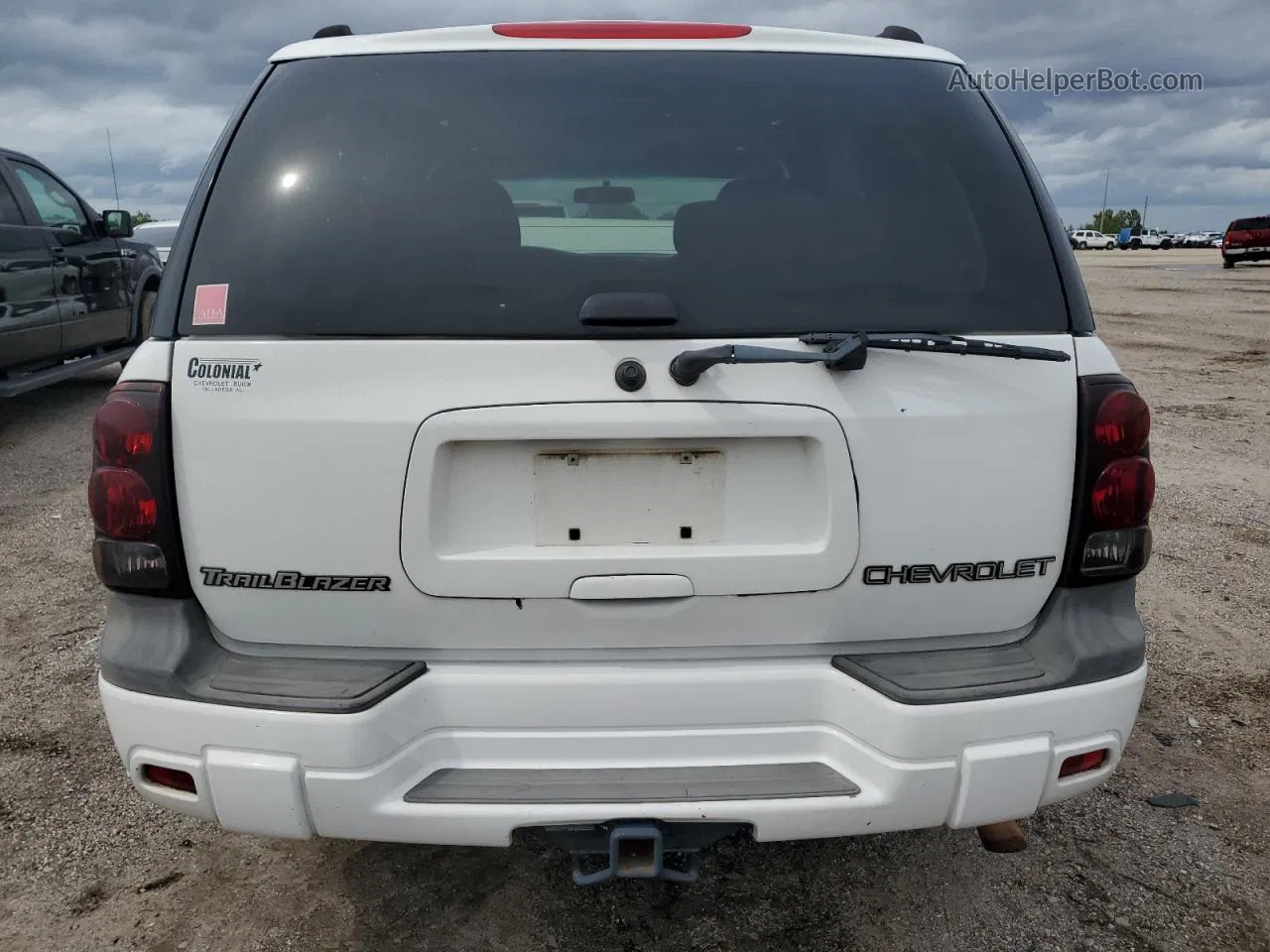 2002 Chevrolet Trailblazer  White vin: 1GNDS13SX22444659