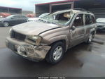 2002 Chevrolet Trailblazer Ls Золотой vin: 1GNDS13SX22474020