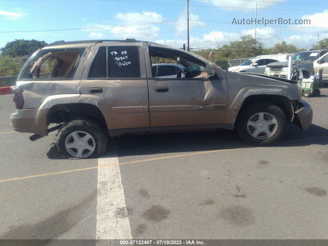 2002 Chevrolet Trailblazer Ls Золотой vin: 1GNDS13SX22474020