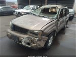 2002 Chevrolet Trailblazer Ls Золотой vin: 1GNDS13SX22474020