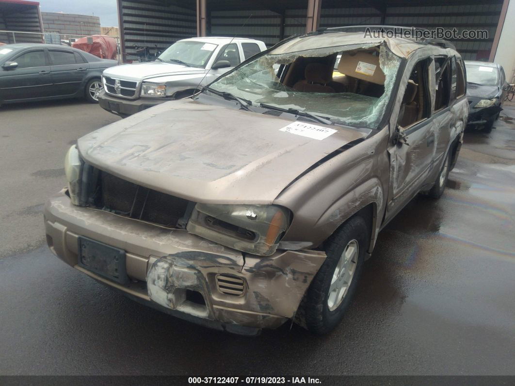 2002 Chevrolet Trailblazer Ls Gold vin: 1GNDS13SX22474020