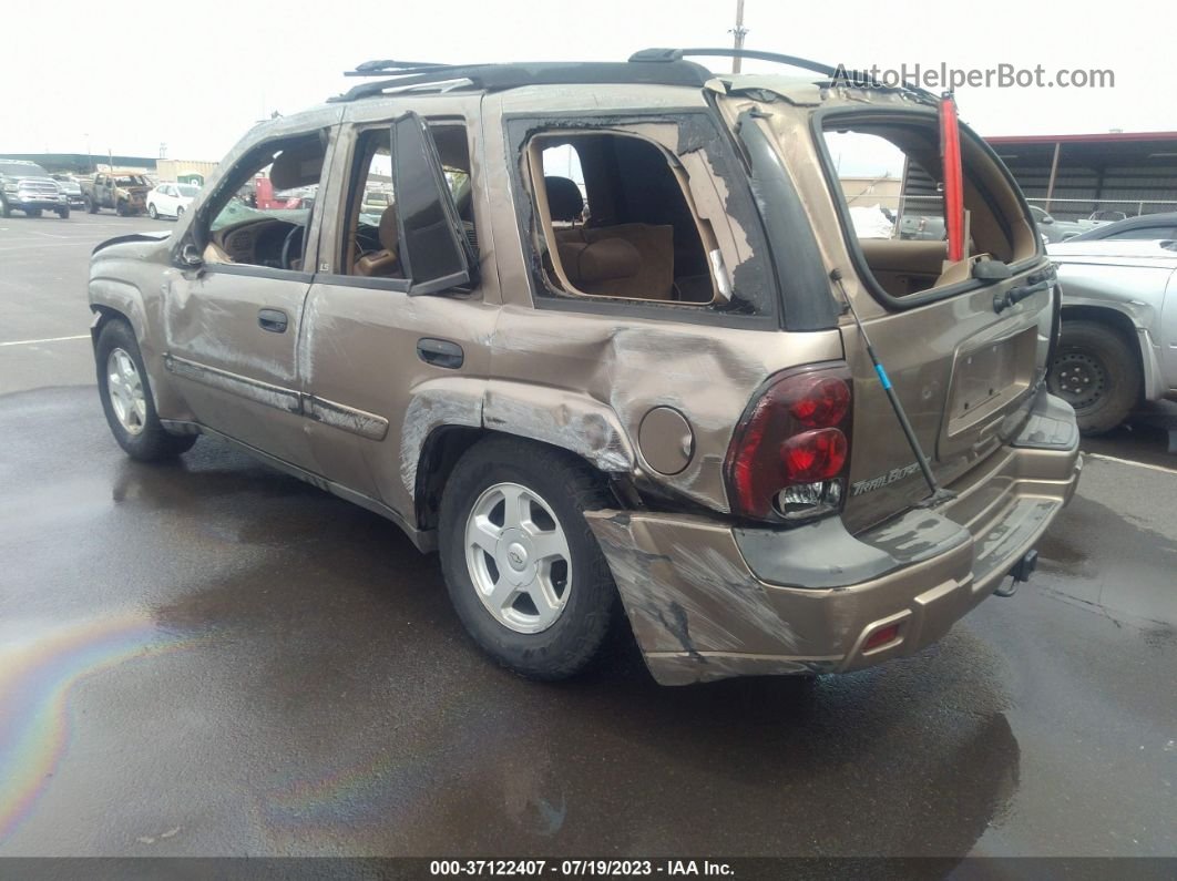 2002 Chevrolet Trailblazer Ls Gold vin: 1GNDS13SX22474020