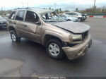 2002 Chevrolet Trailblazer Ls Gold vin: 1GNDS13SX22474020