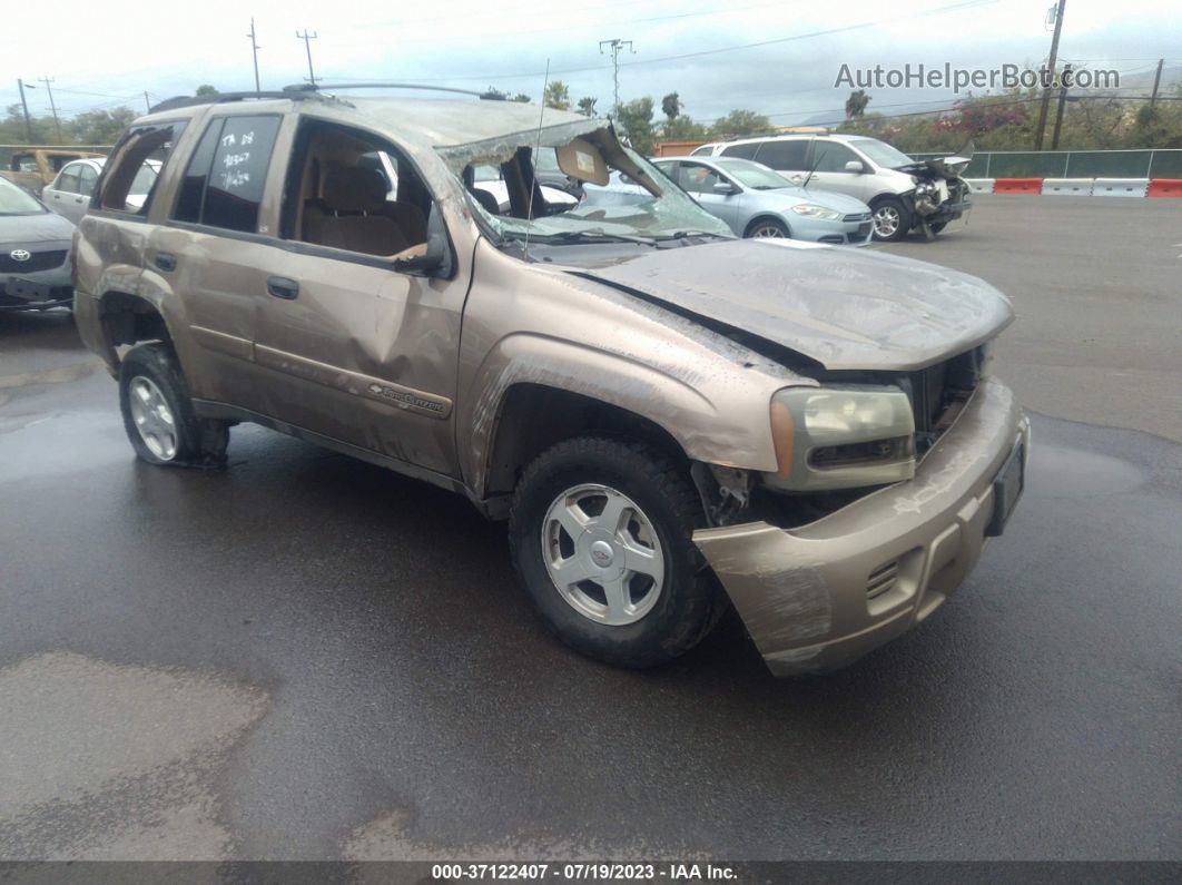 2002 Chevrolet Trailblazer Ls Золотой vin: 1GNDS13SX22474020