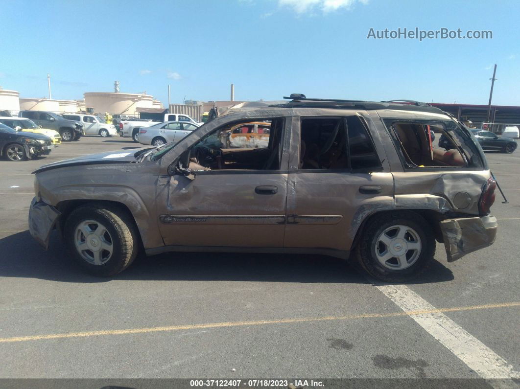 2002 Chevrolet Trailblazer Ls Золотой vin: 1GNDS13SX22474020