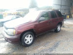 2006 Chevrolet Trailblazer Ls Бордовый vin: 1GNDS13SX62114669