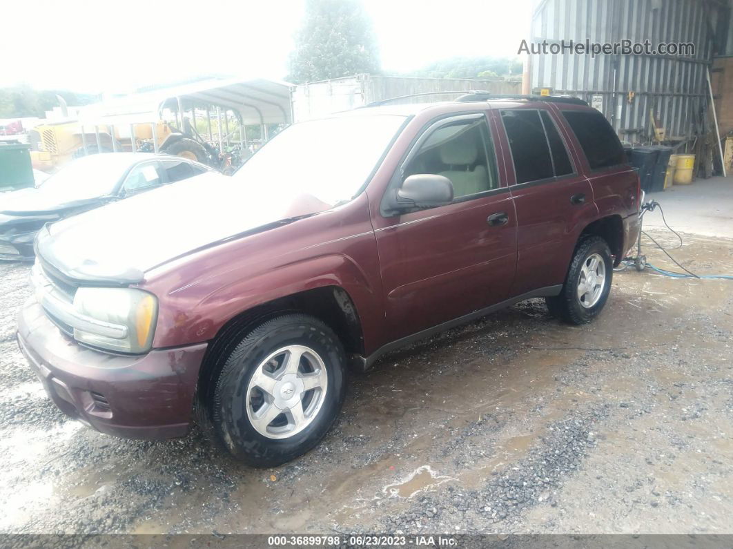 2006 Chevrolet Trailblazer Ls Бордовый vin: 1GNDS13SX62114669