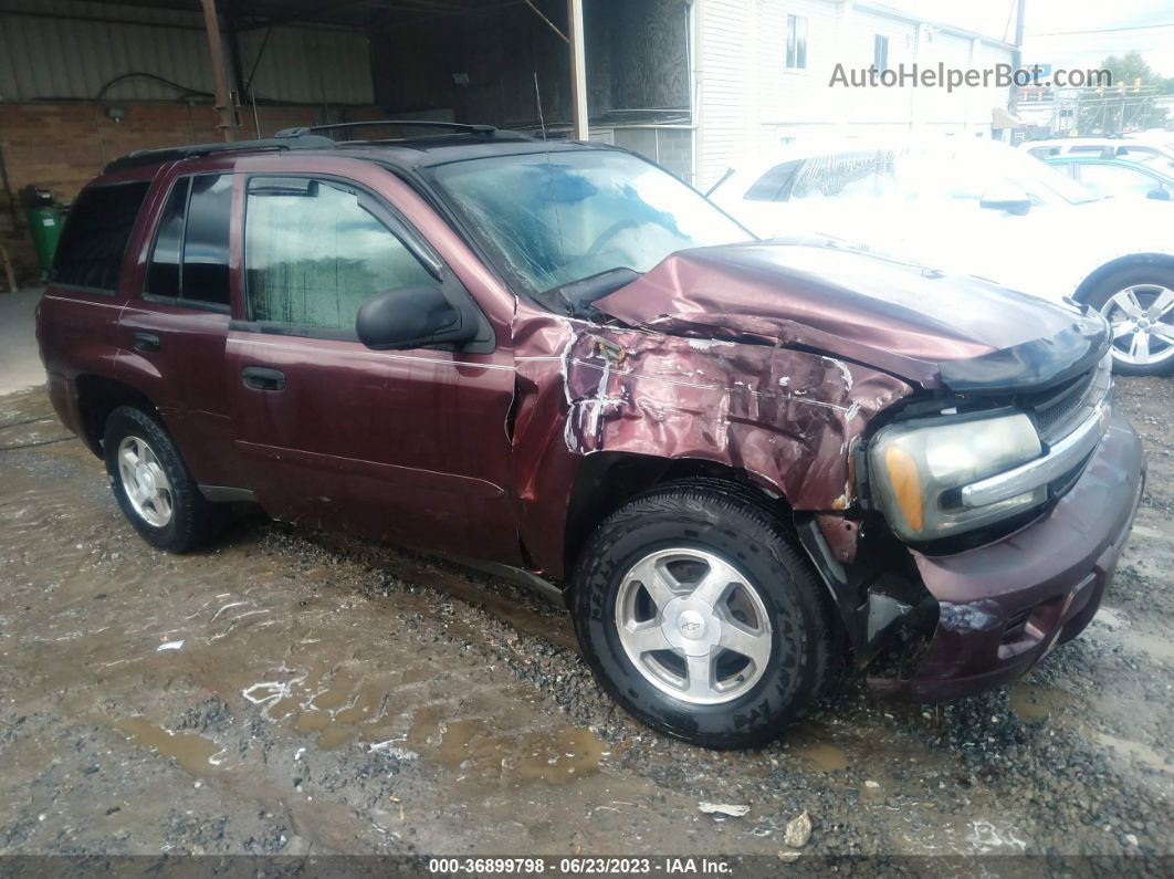 2006 Chevrolet Trailblazer Ls Бордовый vin: 1GNDS13SX62114669