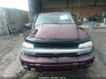 2006 Chevrolet Trailblazer Ls Бордовый vin: 1GNDS13SX62114669