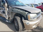 2006 Chevrolet Trailblazer Ls Золотой vin: 1GNDS13SX62153360