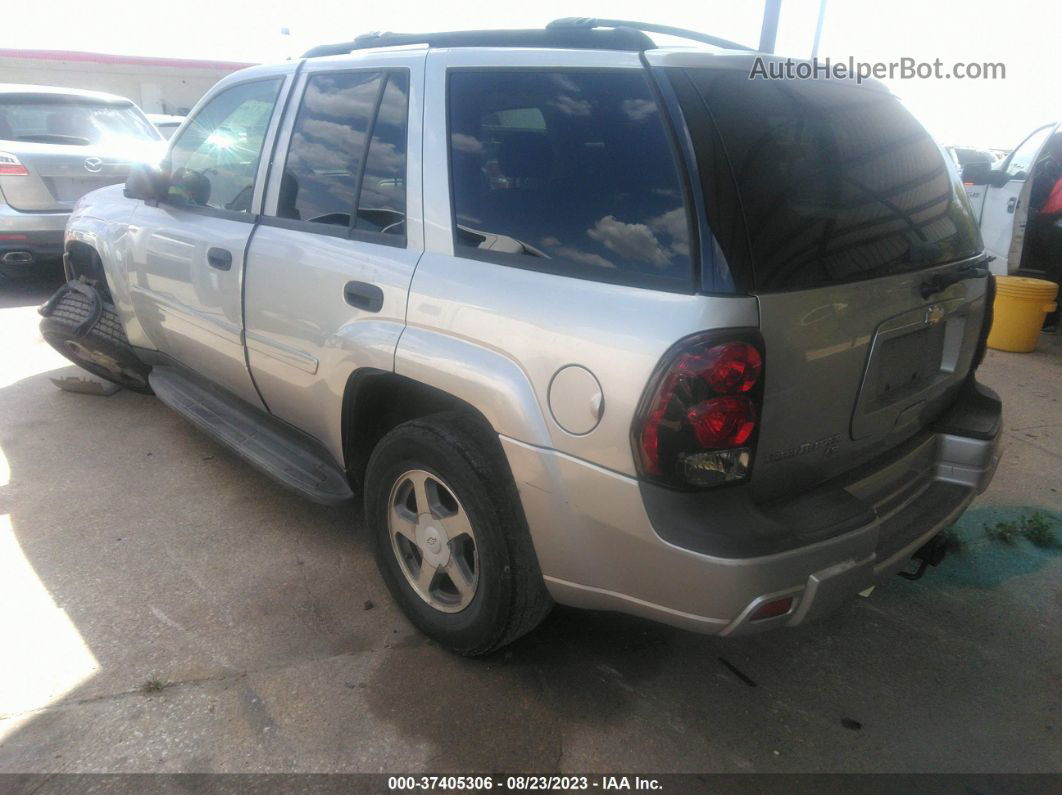 2006 Chevrolet Trailblazer Ls Silver vin: 1GNDS13SX62299175