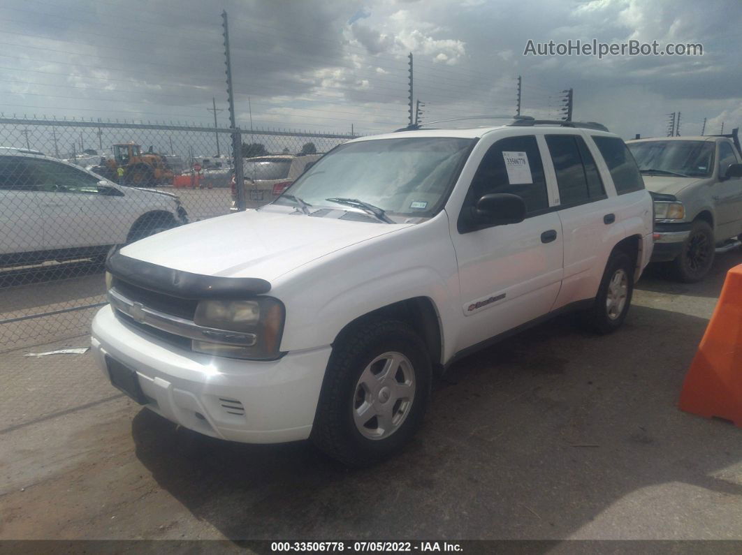 2002 Chevrolet Trailblazer Ls White vin: 1GNDT13S022273210