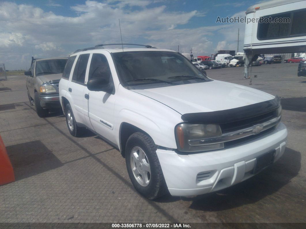 2002 Chevrolet Trailblazer Ls White vin: 1GNDT13S022273210