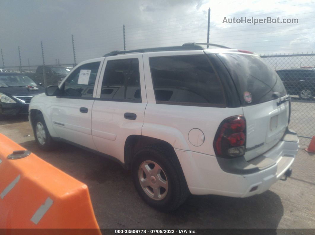 2002 Chevrolet Trailblazer Ls Белый vin: 1GNDT13S022273210