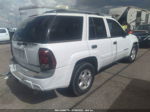 2002 Chevrolet Trailblazer Ls White vin: 1GNDT13S022273210