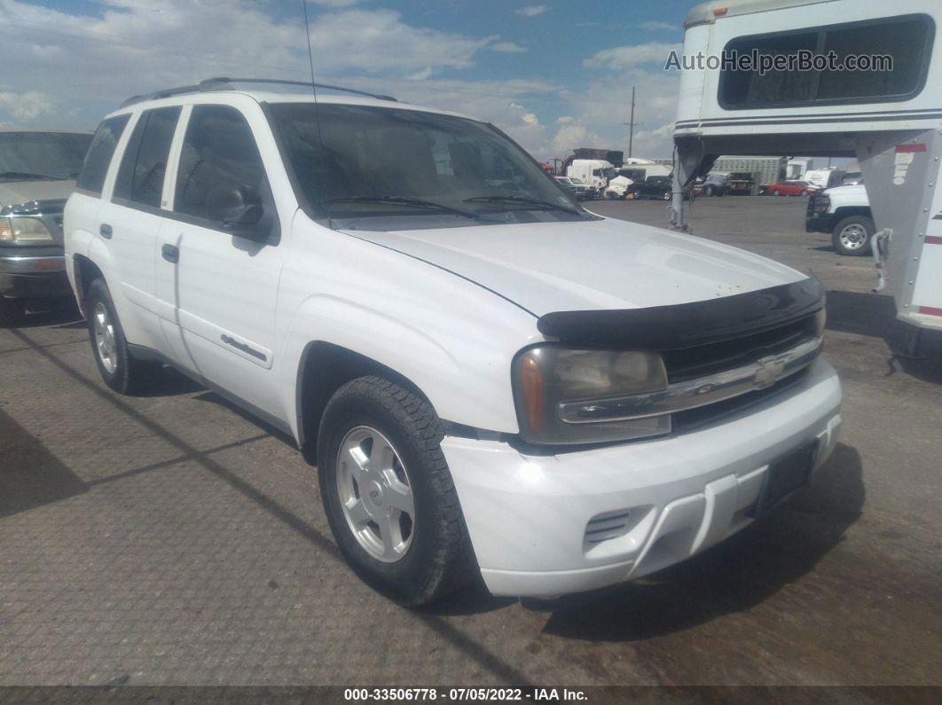 2002 Chevrolet Trailblazer Ls White vin: 1GNDT13S022273210