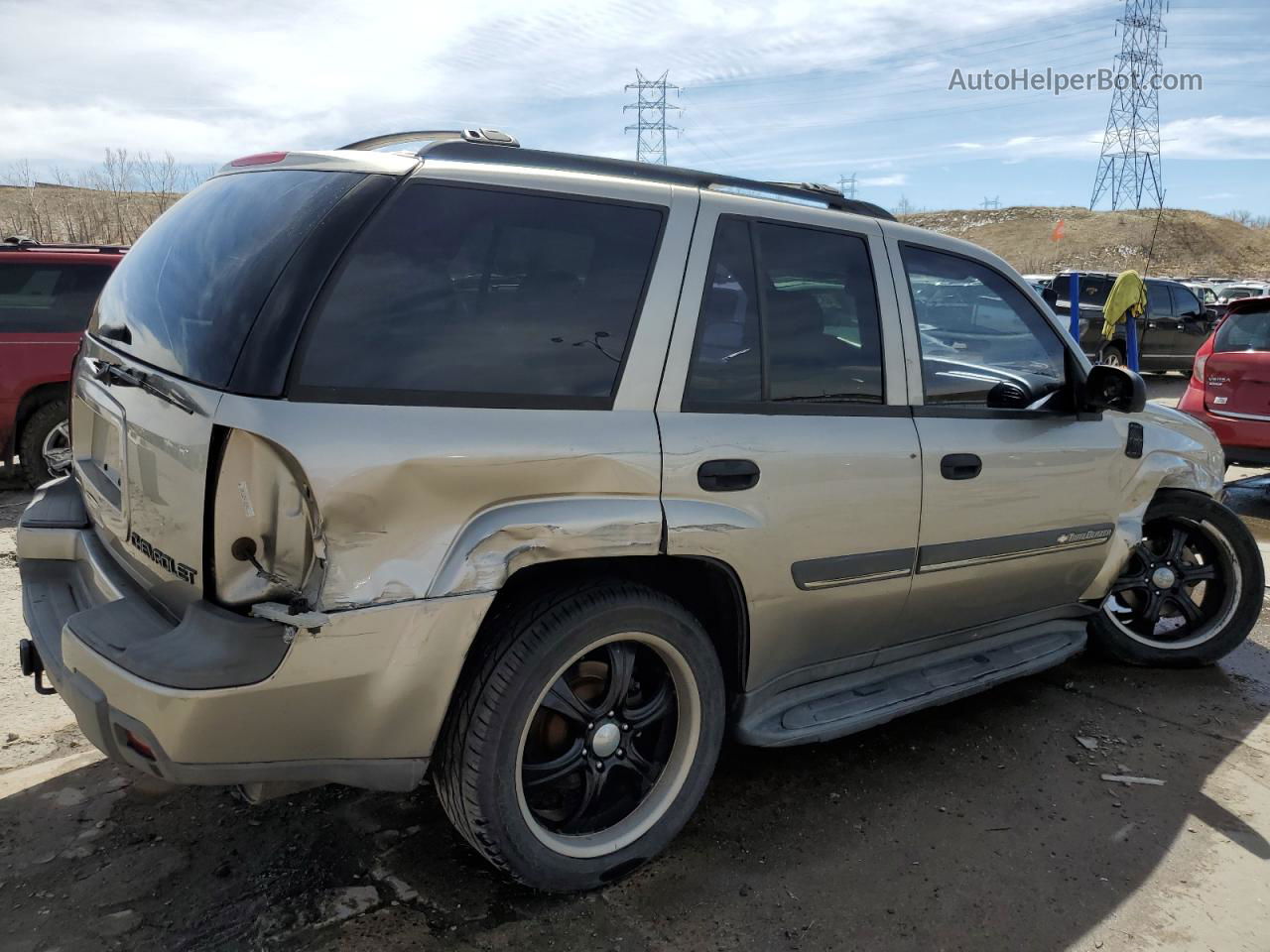 2002 Chevrolet Trailblazer  Золотой vin: 1GNDT13S022347001