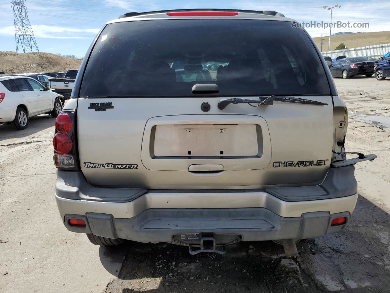 2002 Chevrolet Trailblazer  Gold vin: 1GNDT13S022347001